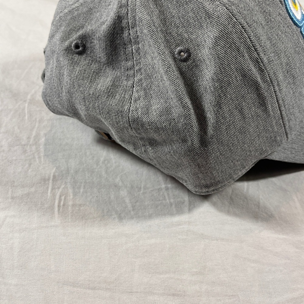Desert Cactus Southern University Jaguars Hat Adult OS Grey NEW Adjustable Logo - Picture 4 of 7
